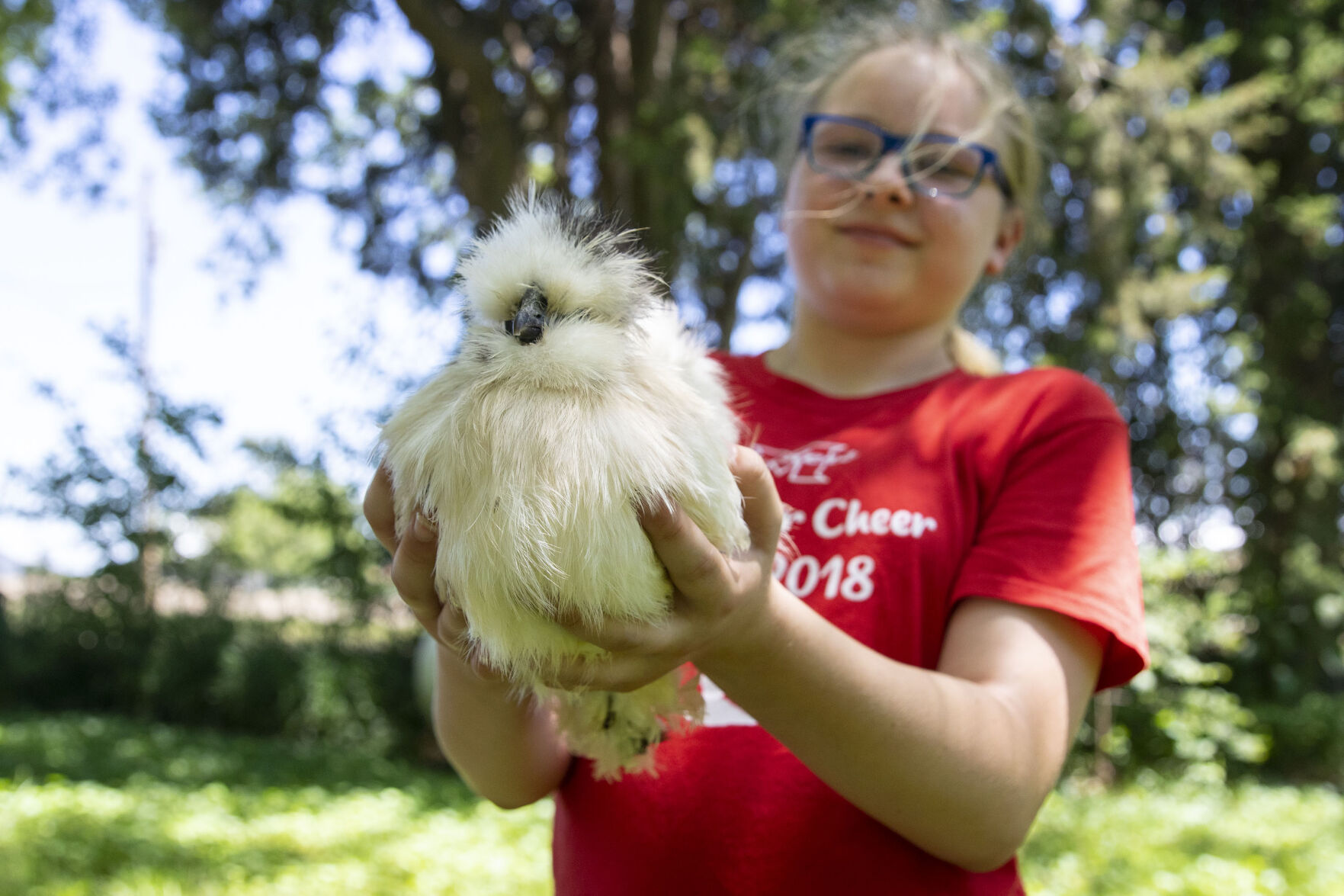 PoultryPals04.jpg